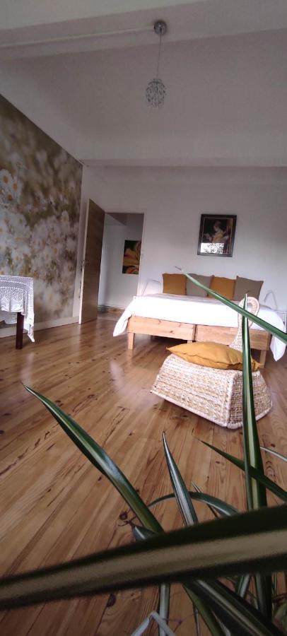 Appartement Autrefois la Cure à Bonnefontaine Extérieur photo